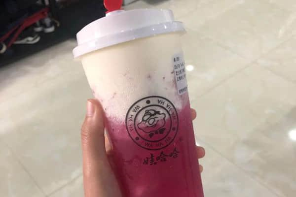 娃哈哈奶茶加盟