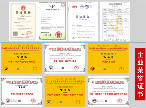 百卫诺一次性餐具加盟