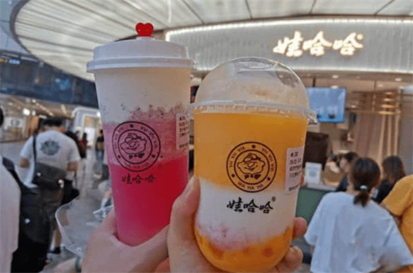娃哈哈奶茶加盟