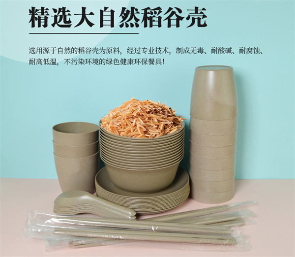 百卫诺一次性餐具加盟