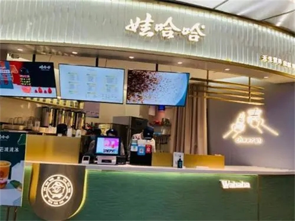 娃哈哈奶茶加盟费多少？