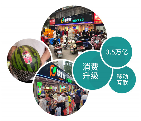 攀果地仓储式会员店