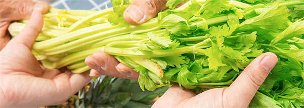 阿田串串香加盟