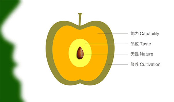 杨梅红