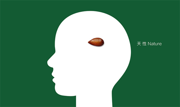 杨梅红