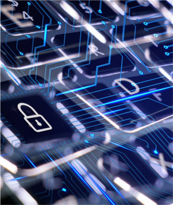 泡泡兔共享童车代理费用