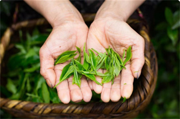 颜麒麟大口茶加盟