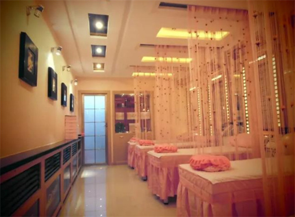 桉之清减肥加盟