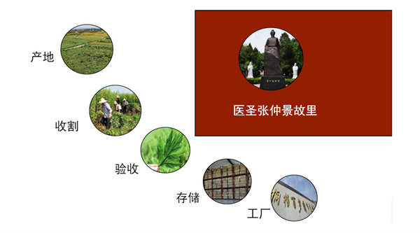 百岁葫芦艾灸加盟