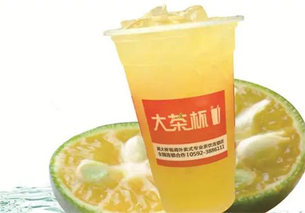 大茶杯加盟费