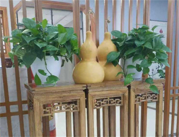 百岁葫芦艾灸加盟