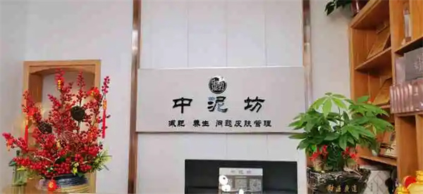 迪娅蔻斯中药面膜加盟