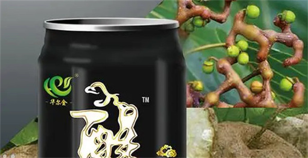 华尔金解酒茶加盟费