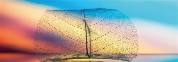 业之峰装饰加盟