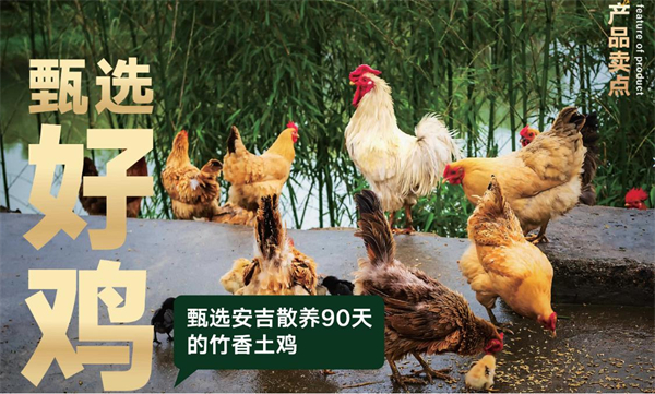 竹一隐叫花鸡加盟费