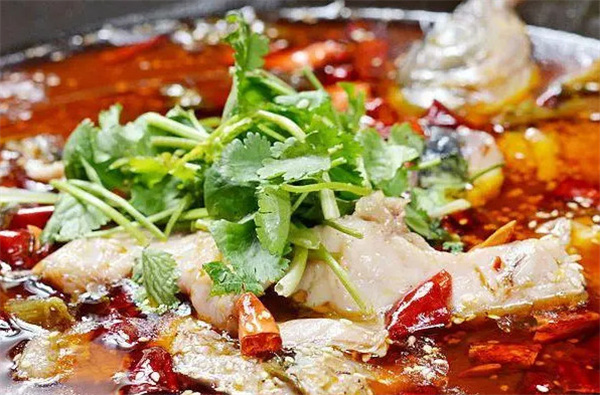鱼乐圈火锅