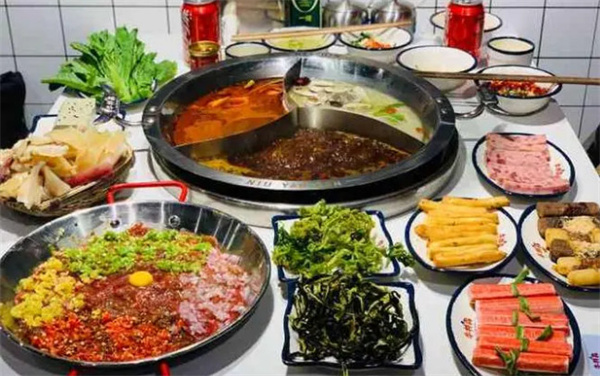 牛牪犇火锅加盟费