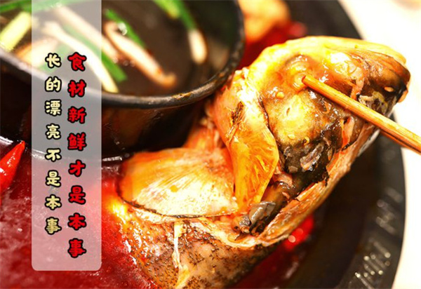 不给叫美蛙鱼头加盟