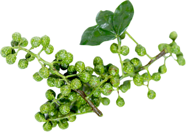 廖记棒棒鸡加盟费