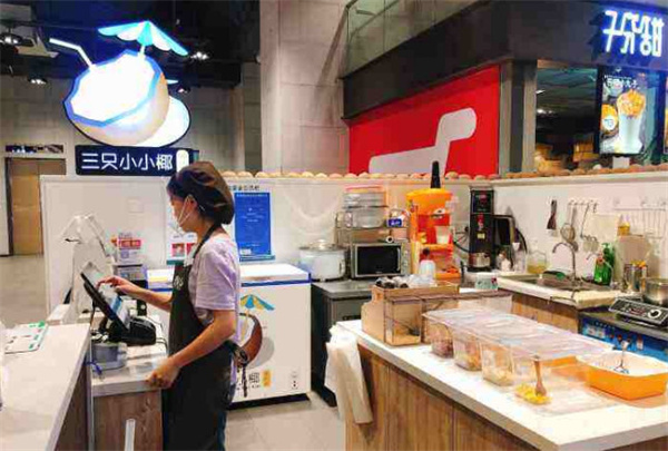 三只小小椰加盟费