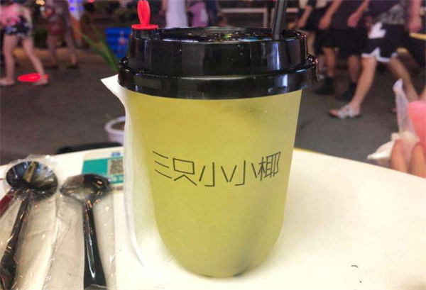 三只小小椰加盟费