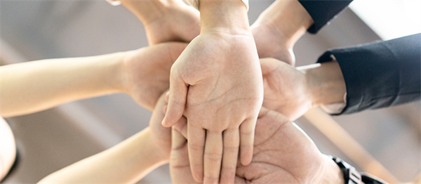 味派菜园子加盟