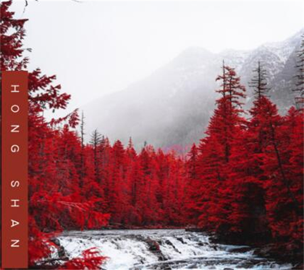 植美人化妆品加盟