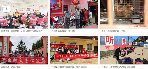 白鲸鱼旧衣服加盟