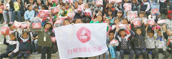 白鲸鱼旧衣服加盟