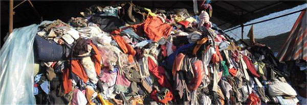 白鲸鱼旧衣服加盟