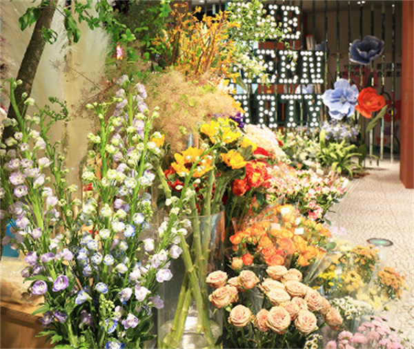 The Green party家居加盟