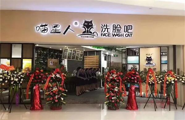 喵星人洗脸吧加盟费