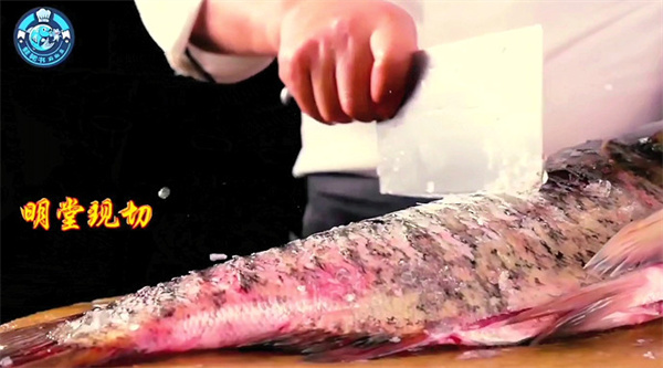 蛙秘书麻椒鱼加盟