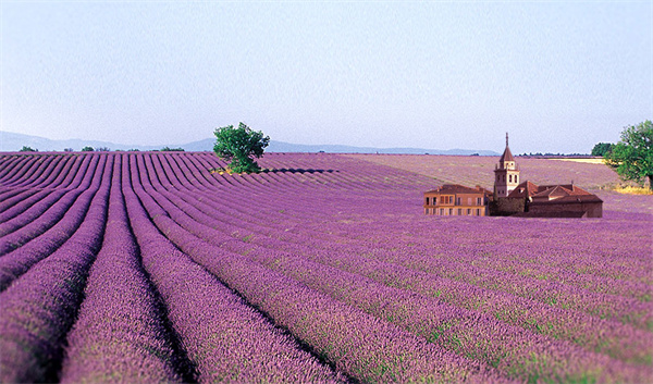 法丽赛尔化妆品加盟