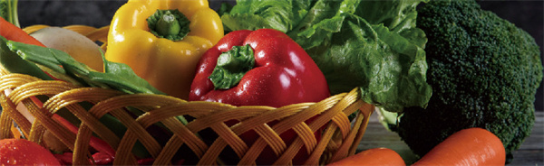 记忆包工坊加盟