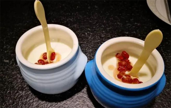 上海老酸奶加盟