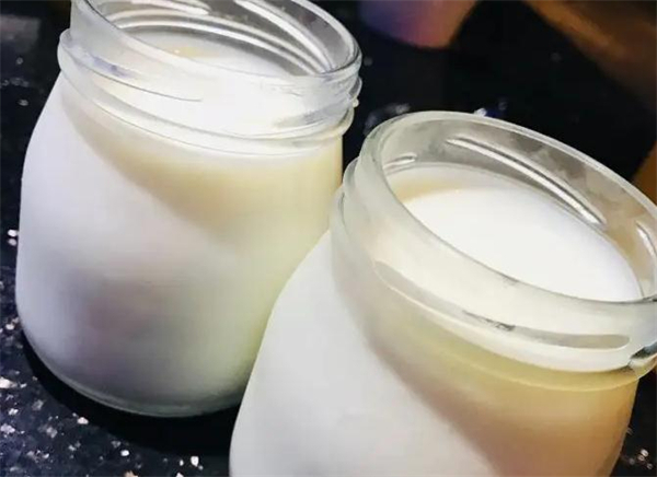 上海老酸奶加盟