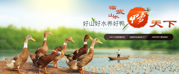 临武鸭加盟费
