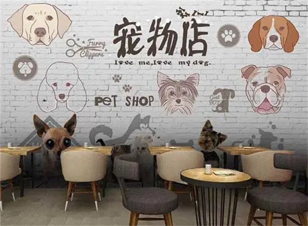 宠物店加盟