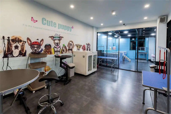 开一个宠物店大概需要多少钱？开一家宠物店要注意的方面有哪些？