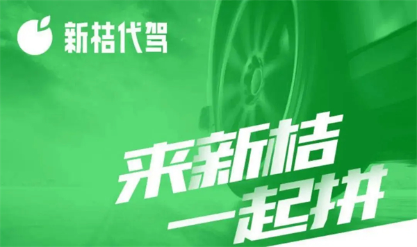 新桔代驾怎么样？