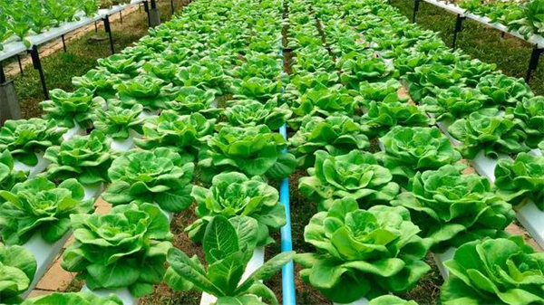 做什么生意好挣钱，你不可错过的冷门暴利小生意在这里！