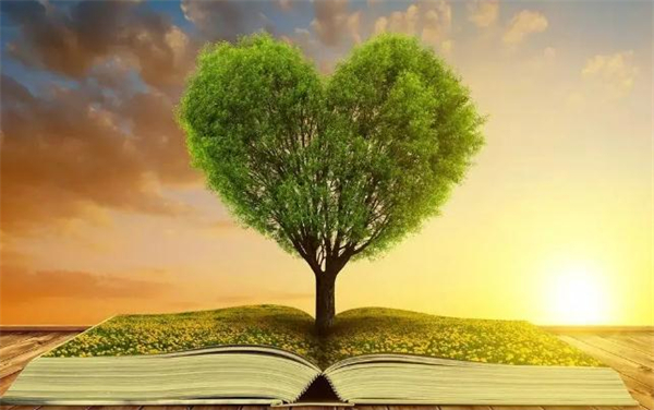 新冠疫情带来了哪些创业机会，这些都是风口机遇！