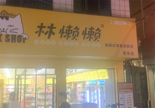 林懒懒零食加盟