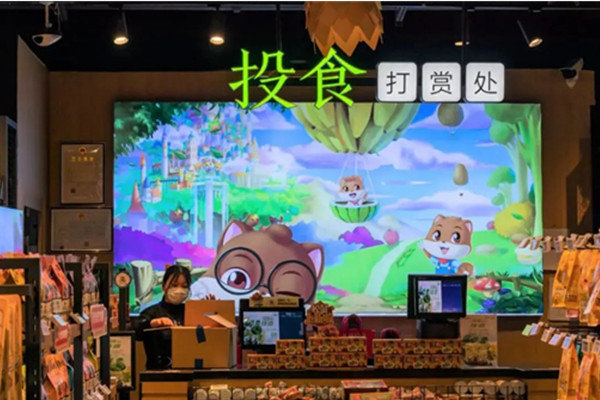 三只松鼠公司概况