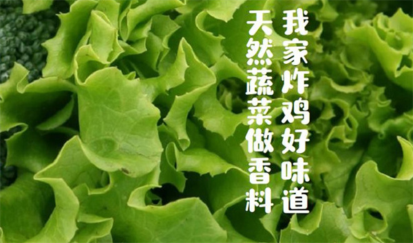 鲜有鸡蔬香炸物加盟费