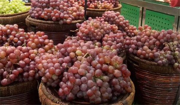 好实惠水果加盟费