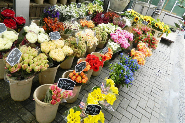 鲜花花店加盟