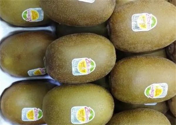 好实惠水果加盟费