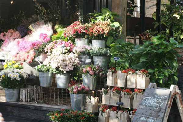 鲜花花店加盟